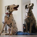 Ember meets bronze Louie