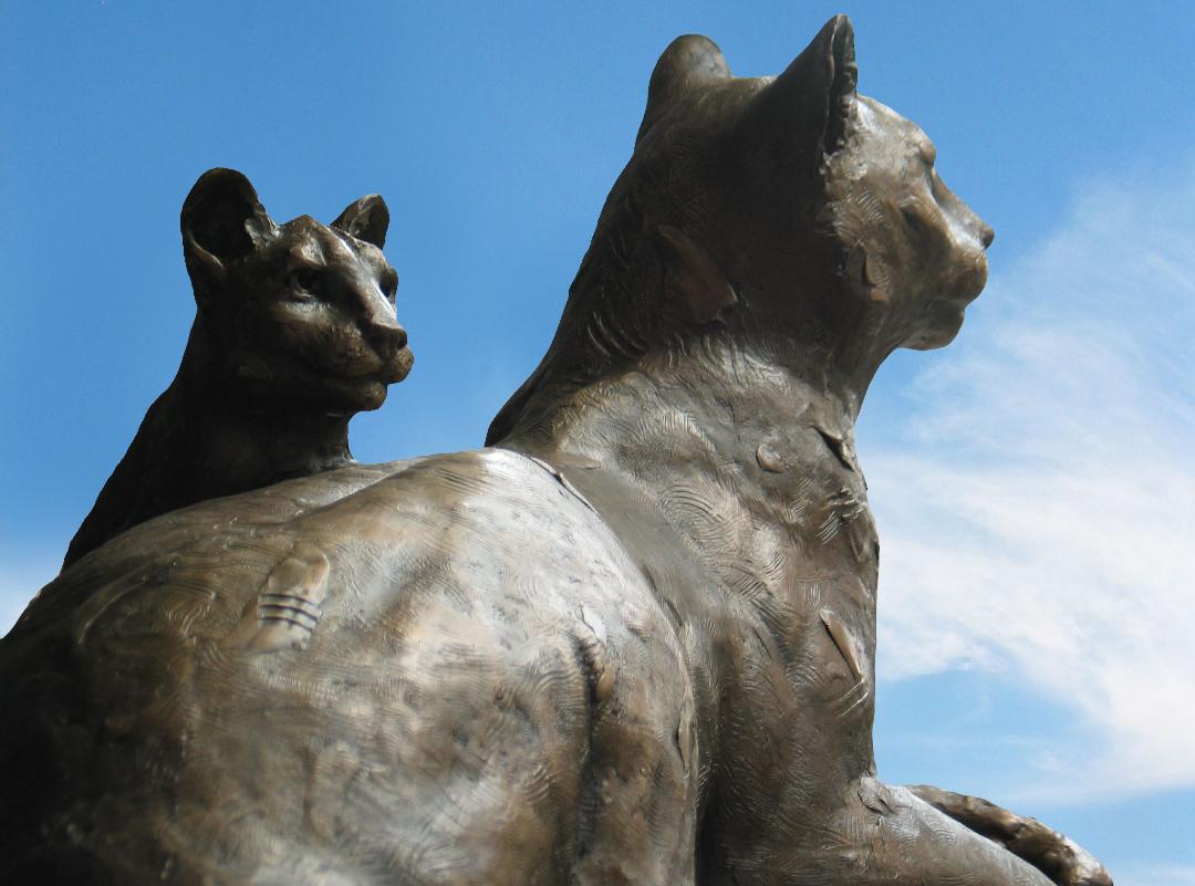 Bronze life-sized Mountain Lions sculpture at Lake Poway. Mother and kitten looking on. 