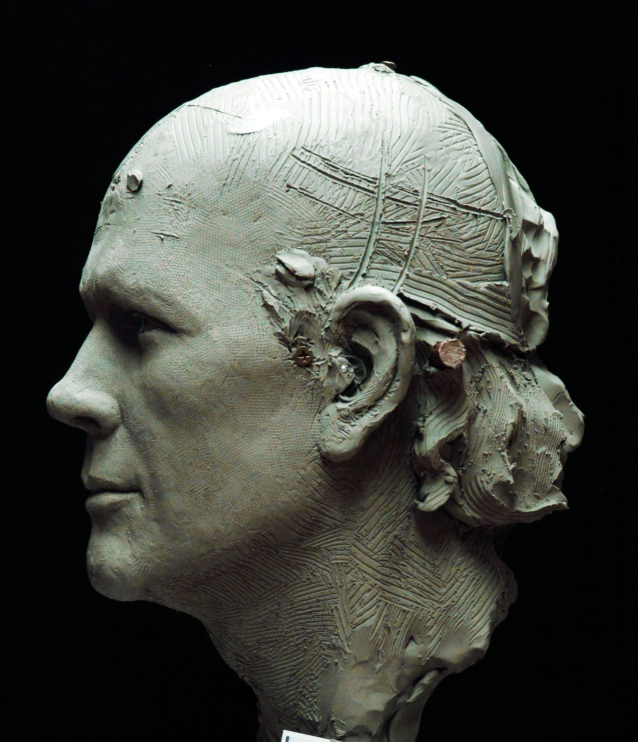 Ron Howard Bust profile view